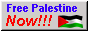 palestinian flag with free palestine overlaid